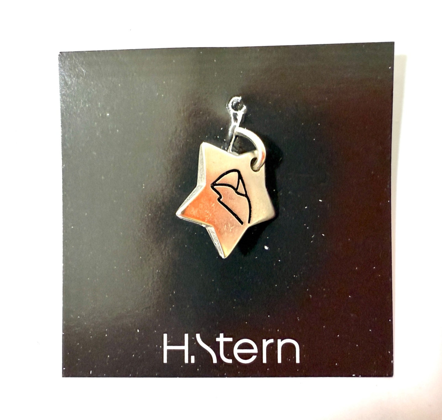 New in Package H. STERN Pewter Star Collectible Charm Pendant from Brazil0