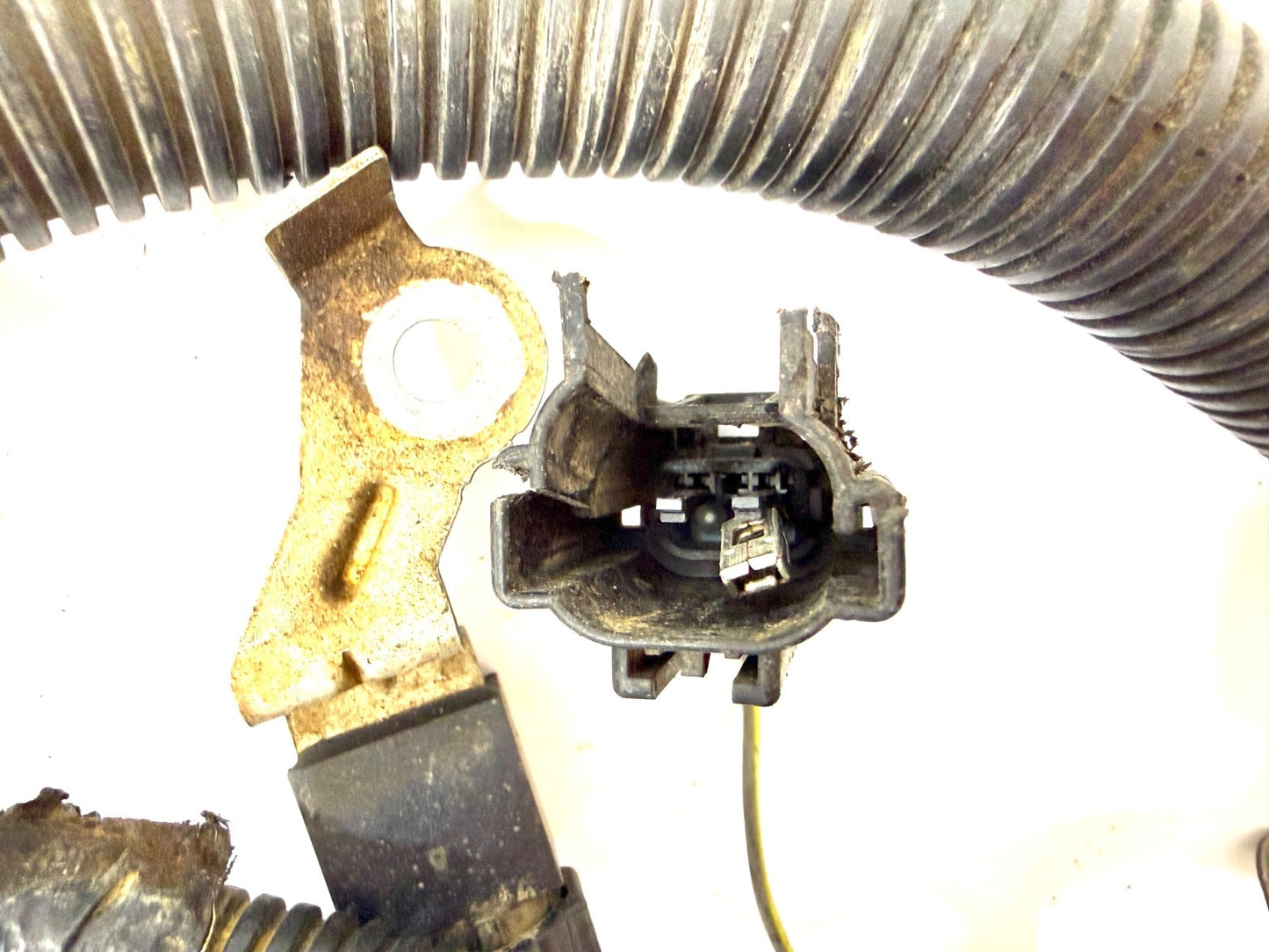 2003 Jeep Wrangler Rubicon TJ 4.0L Manual Transmission Engine Wiring Harness OEM9